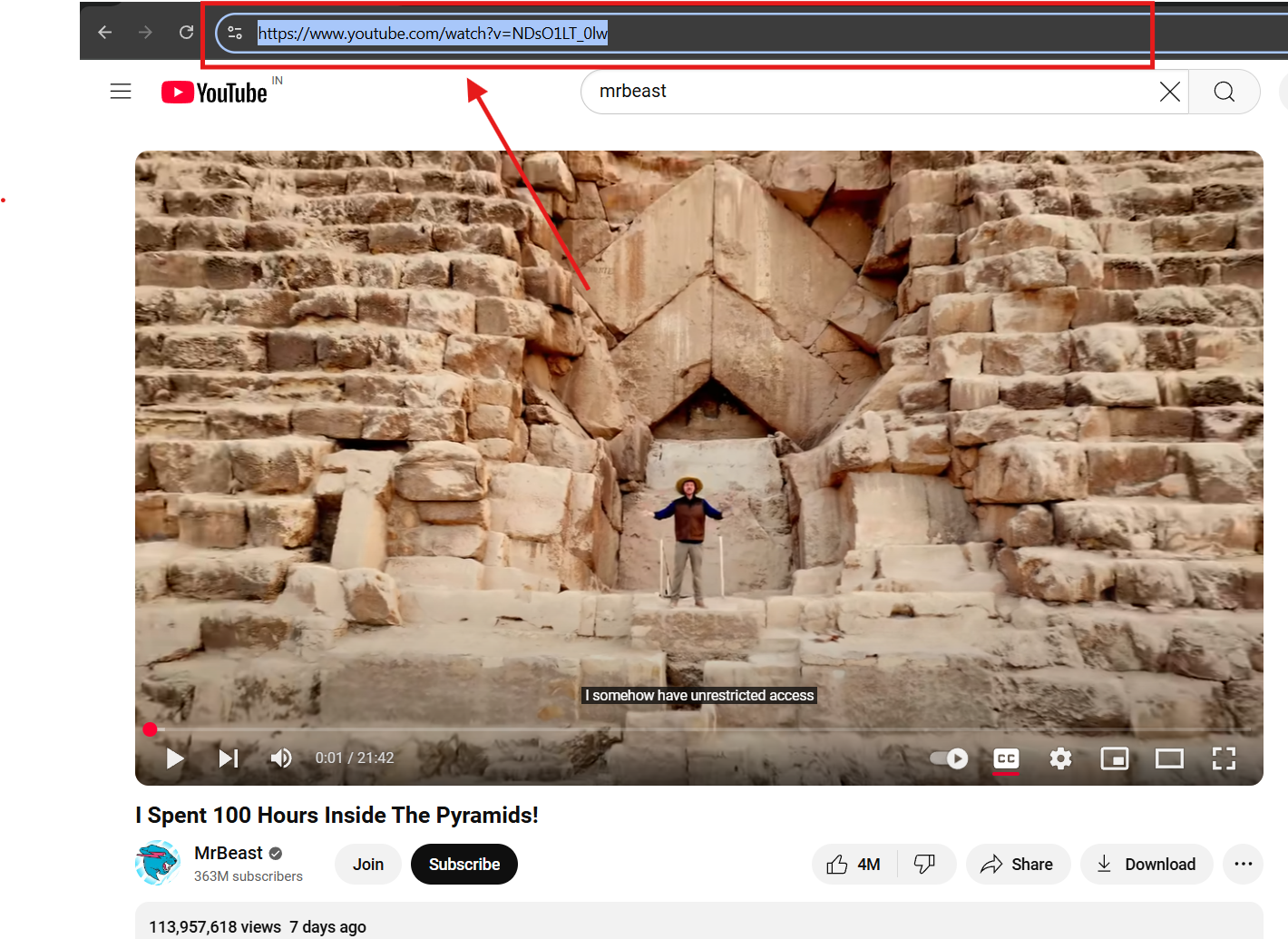 Copy YouTube Link